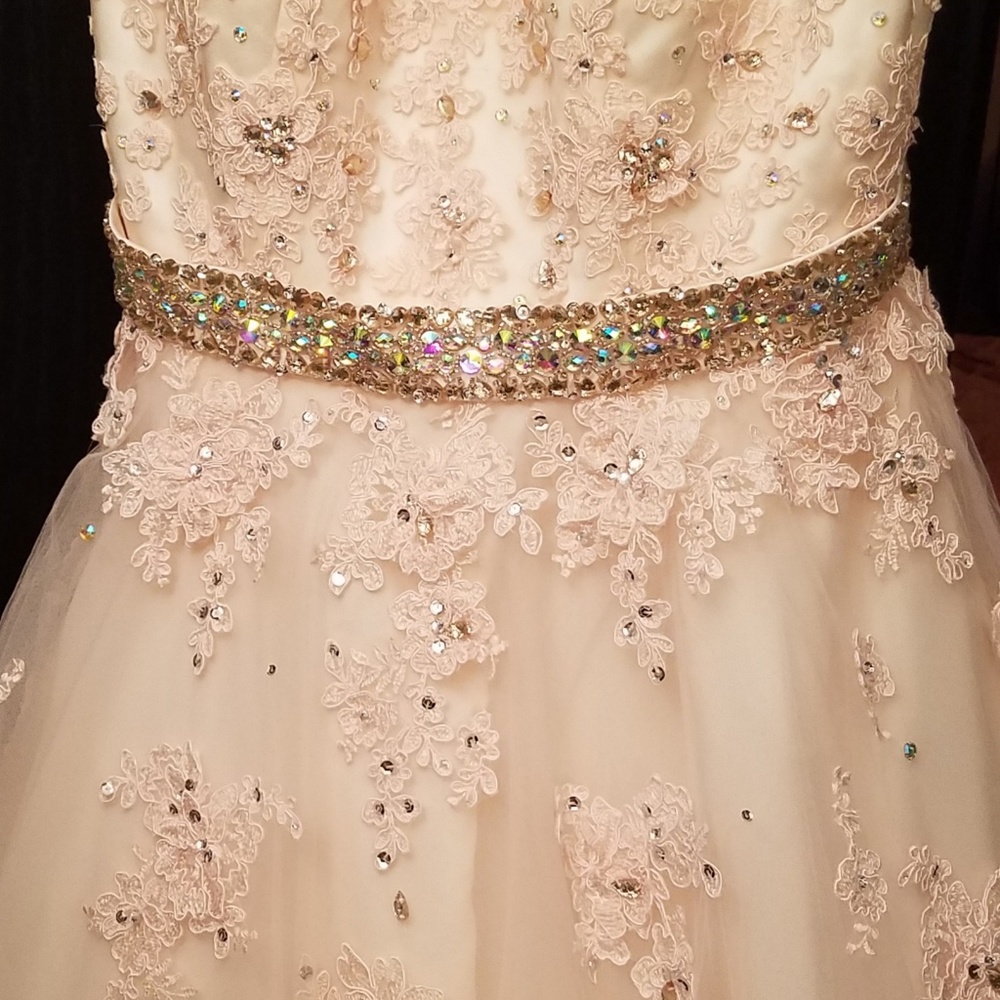 Strapless Beaded Lace Gown